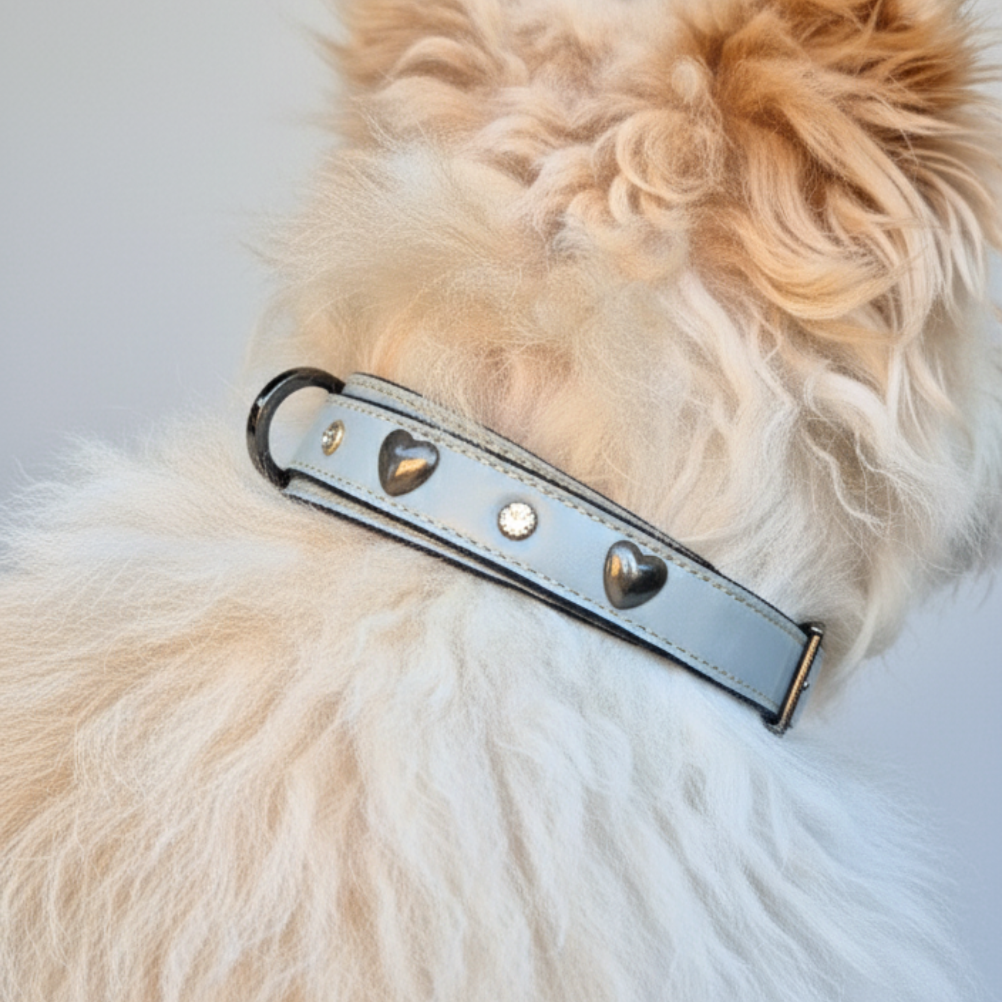 Set Collare con Cristalli e Guinzaglio in Pelle per Cani